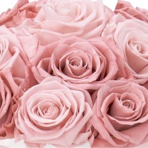 Meet your Posher, Anita